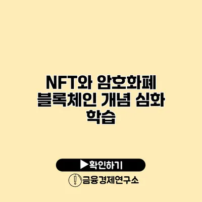 NFT와 암호화폐 블록체인 개념 심화 학습