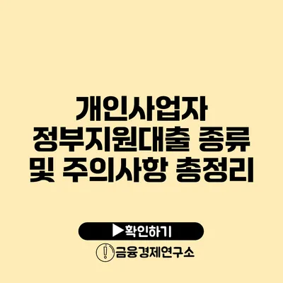 개인사업자 정부지원대출 종류 및 주의사항 총정리