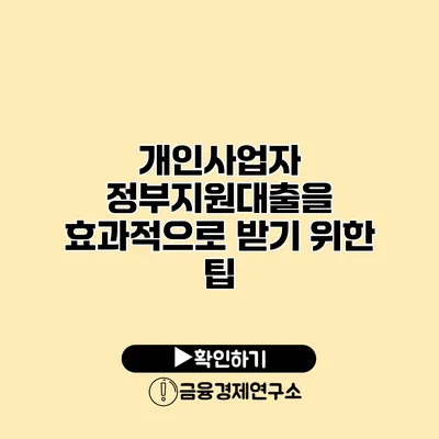개인사업자 정부지원대출을 효과적으로 받기 위한 팁