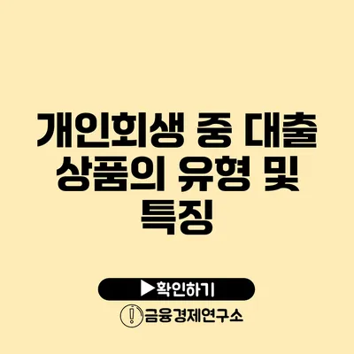 개인회생 중 대출 상품의 유형 및 특징