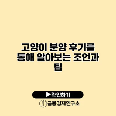 고양이 분양 후기를 통해 알아보는 조언과 팁