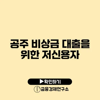 공주 비상금 대출을 위한 저신용자