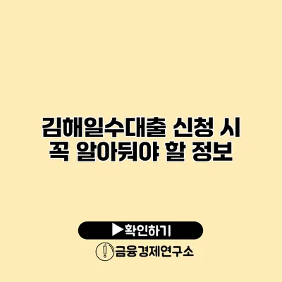 김해일수대출 신청 시 꼭 알아둬야 할 정보