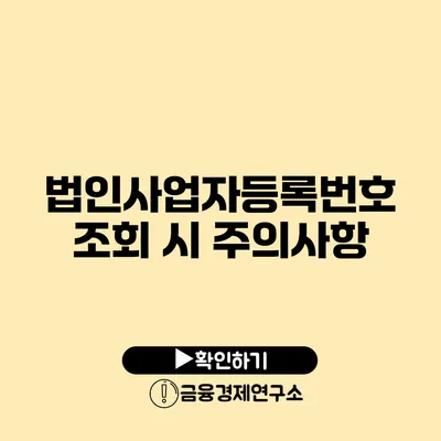 법인사업자등록번호 조회 시 주의사항