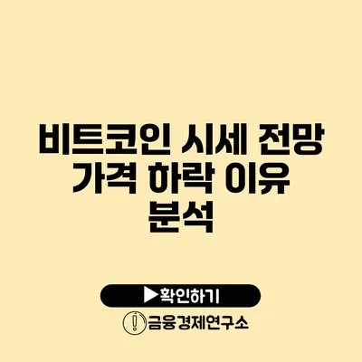 비트코인 시세 전망 가격 하락 이유 분석