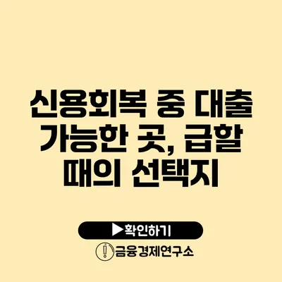 신용회복 중 대출 가능한 곳, 급할 때의 선택지