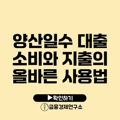 양산일수 대출 소비와 지출의 올바른 사용법