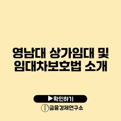 영남대 상가임대 및 임대차보호법 소개