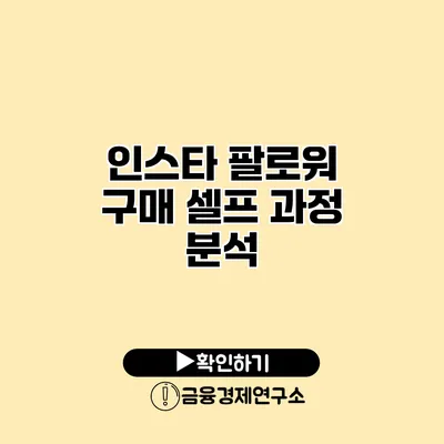 인스타 팔로워 구매 셀프 과정 분석