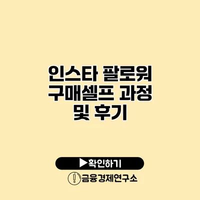 인스타 팔로워 구매셀프 과정 및 후기
