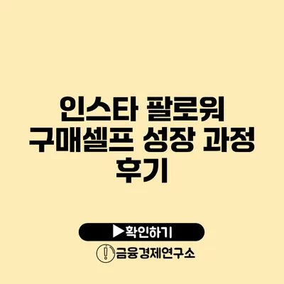 인스타 팔로워 구매셀프 성장 과정 후기