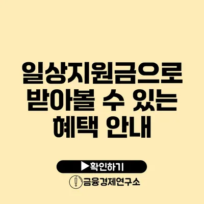 일상지원금으로 받아볼 수 있는 혜택 안내