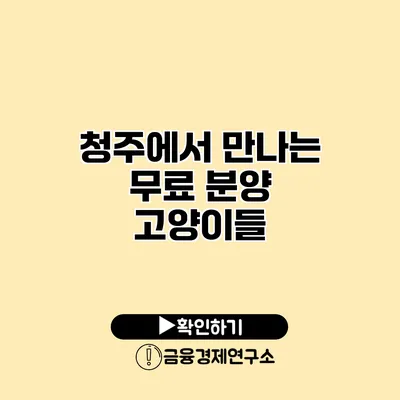 청주에서 만나는 무료 분양 고양이들