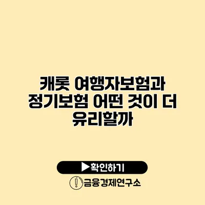 캐롯 여행자보험과 정기보험 어떤 것이 더 유리할까?