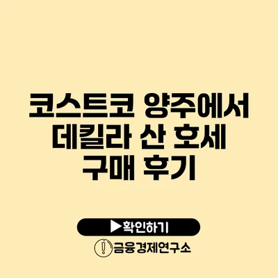 코스트코 양주에서 데킬라 산 호세 구매 후기