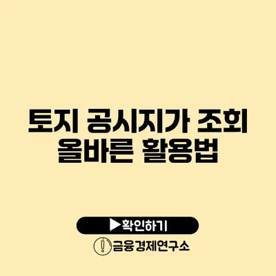 토지 공시지가 조회 올바른 활용법