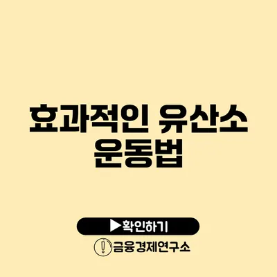 효과적인 유산소 운동법