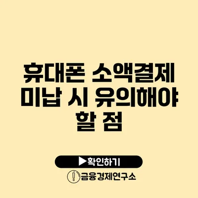 휴대폰 소액결제 미납 시 유의해야 할 점