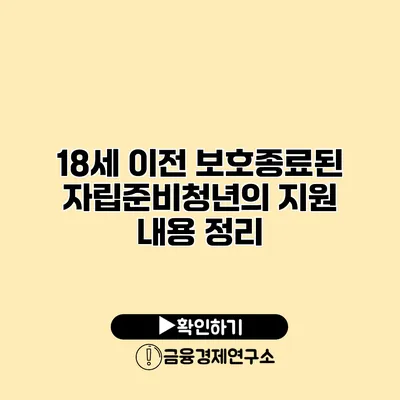 18세 이전 보호종료된 자립준비청년의 지원 내용 정리