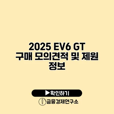 2025 EV6 GT 구매 모의견적 및 제원 정보