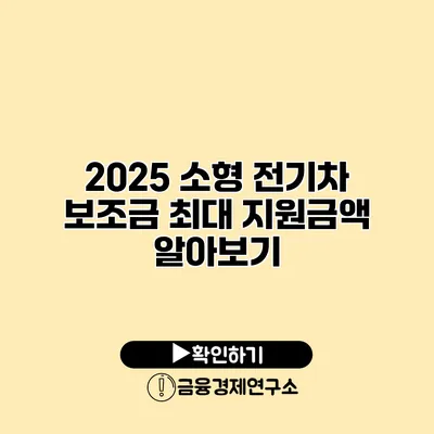 2025 소형 전기차 보조금 최대 지원금액 알아보기