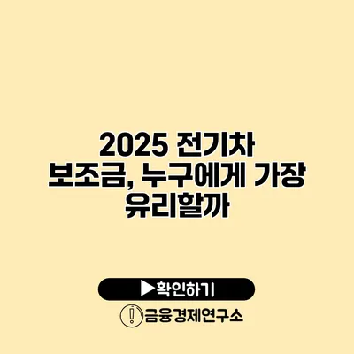 2025 전기차 보조금, 누구에게 가장 유리할까?