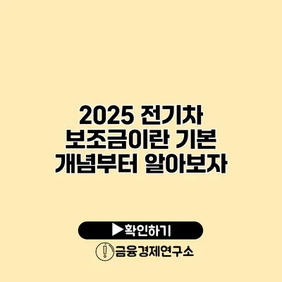 2025 전기차 보조금이란? 기본 개념부터 알아보자