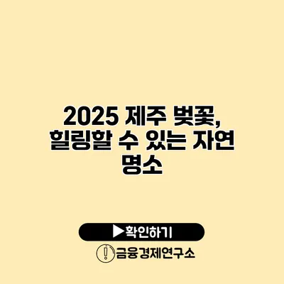 2025 제주 벚꽃, 힐링할 수 있는 자연 명소