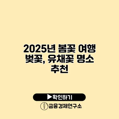 2025년 봄꽃 여행 벚꽃, 유채꽃 명소 추천