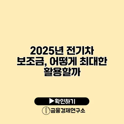 2025년 전기차 보조금, 어떻게 최대한 활용할까?