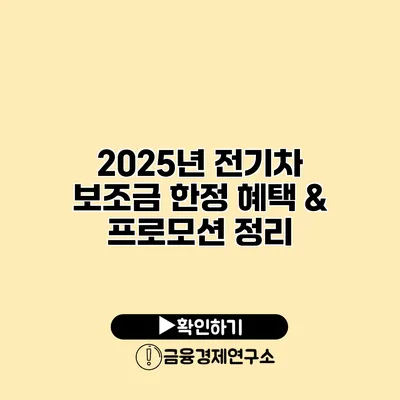 2025년 전기차 보조금 한정 혜택 & 프로모션 정리