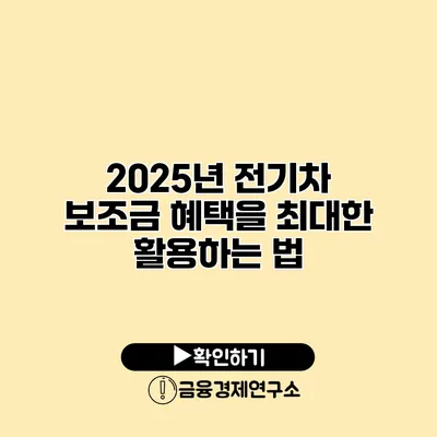 2025년 전기차 보조금 혜택을 최대한 활용하는 법