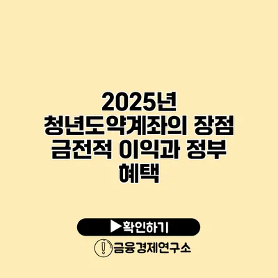 2025년 청년도약계좌의 장점 금전적 이익과 정부 혜택
