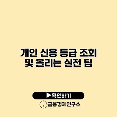 개인 신용 등급 조회 및 올리는 실전 팁