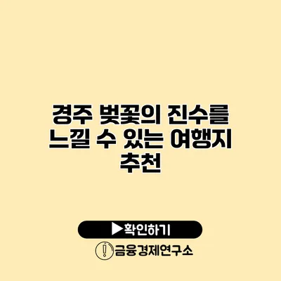 경주 벚꽃의 진수를 느낄 수 있는 여행지 추천
