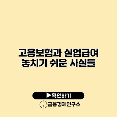 고용보험과 실업급여 놓치기 쉬운 사실들