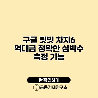 구글 핏빗 차지6 역대급 정확한 심박수 측정 기능