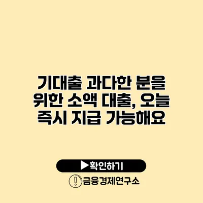 기대출 과다한 분을 위한 소액 대출, 오늘 즉시 지급 가능해요