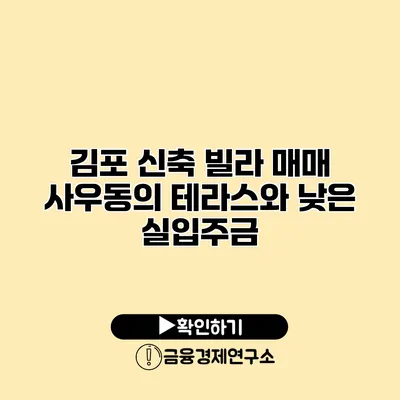 김포 신축 빌라 매매 사우동의 테라스와 낮은 실입주금