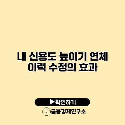 내 신용도 높이기 연체 이력 수정의 효과
