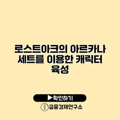 로스트아크의 아르카나 세트를 이용한 캐릭터 육성