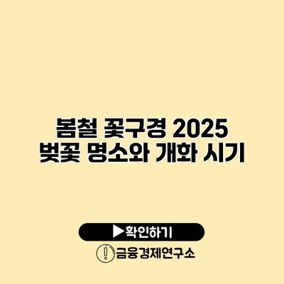 봄철 꽃구경 2025 벚꽃 명소와 개화 시기