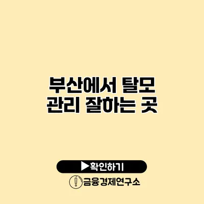 부산에서 탈모 관리 잘하는 곳