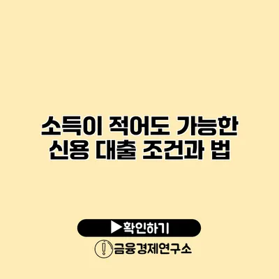 소득이 적어도 가능한 신용 대출 조건과 법