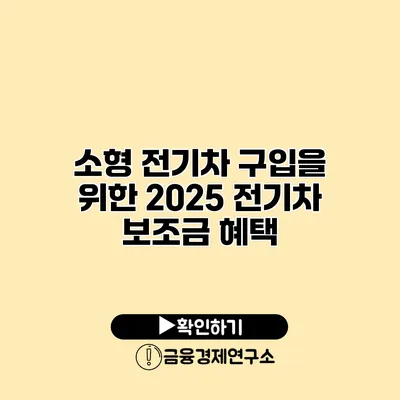 소형 전기차 구입을 위한 2025 전기차 보조금 혜택