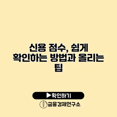 신용 점수, 쉽게 확인하는 방법과 올리는 팁