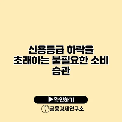신용등급 하락을 초래하는 불필요한 소비 습관