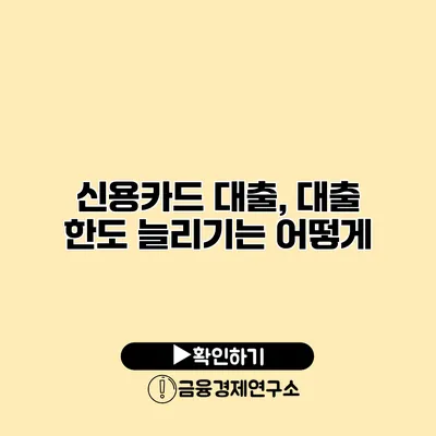 신용카드 대출, 대출 한도 늘리기는 어떻게?