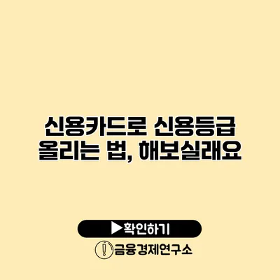 신용카드로 신용등급 올리는 법, 해보실래요?