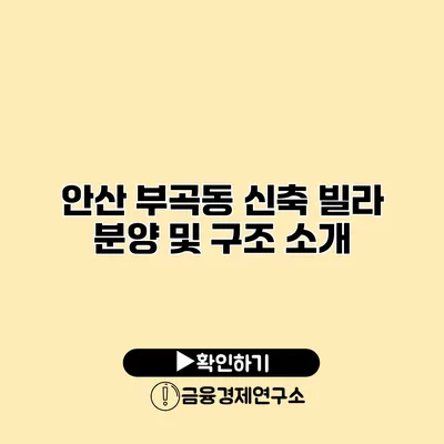 안산 부곡동 신축 빌라 분양 및 구조 소개